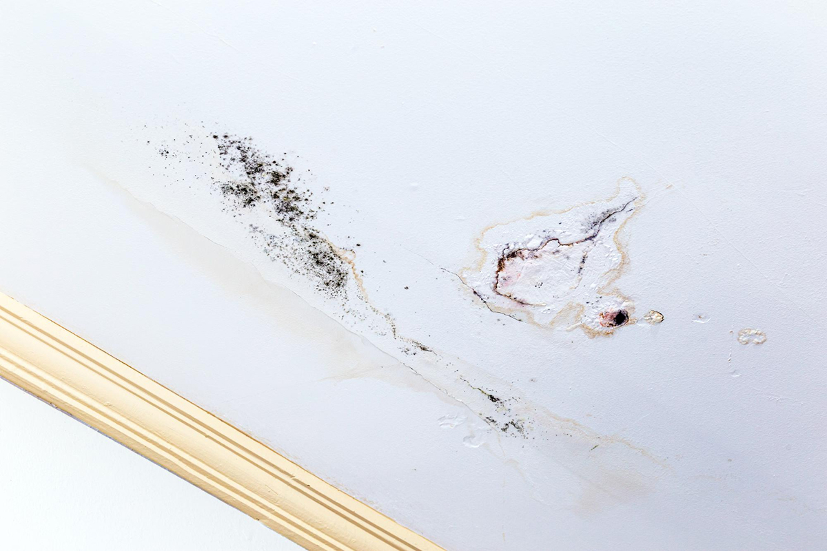 The Trickiest Part About Water Damage Claims